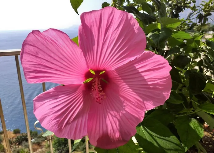 Casa La Lampara 아파트 프라이아노