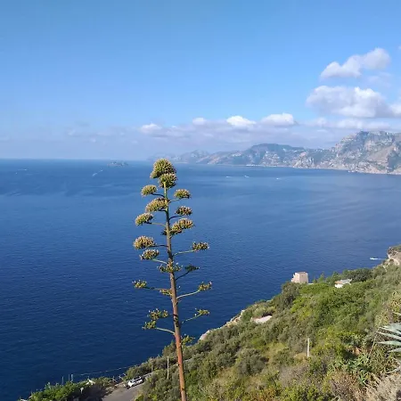 Casa La Lampara アパート